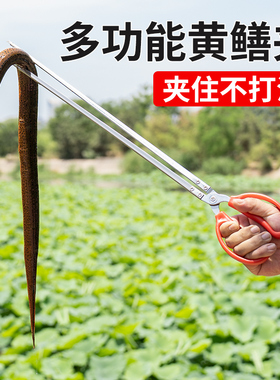 黄鳝夹子不锈钢鳝鱼专用夹神器夹泥鳅钳子抓龙虾螃蟹防滑赶海工具