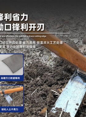 锰钢农用锄头多功能除草家用种菜挖地刨老式轨道钢镢头挖冬笋专用
