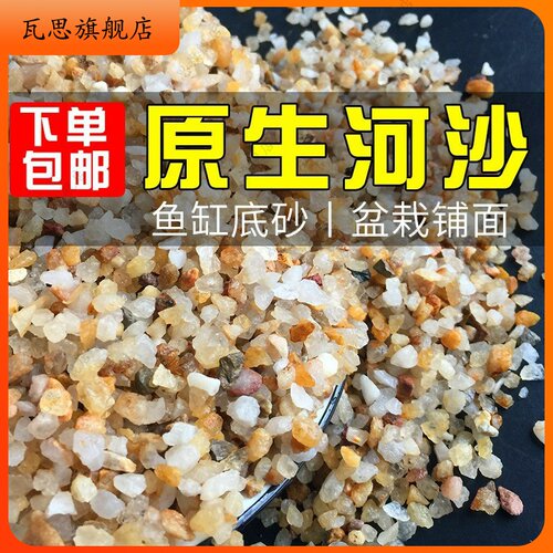 鱼缸小石子铺底造景沙石原生缸溪流石底砂不浑水水族箱溪流沙底沙