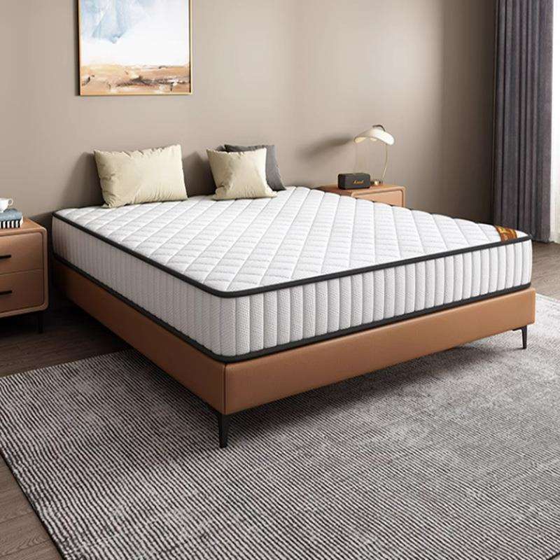 席梦思床垫软硬两用20cm厚1.8米1.5m椰棕双人家用经济型弹簧床垫