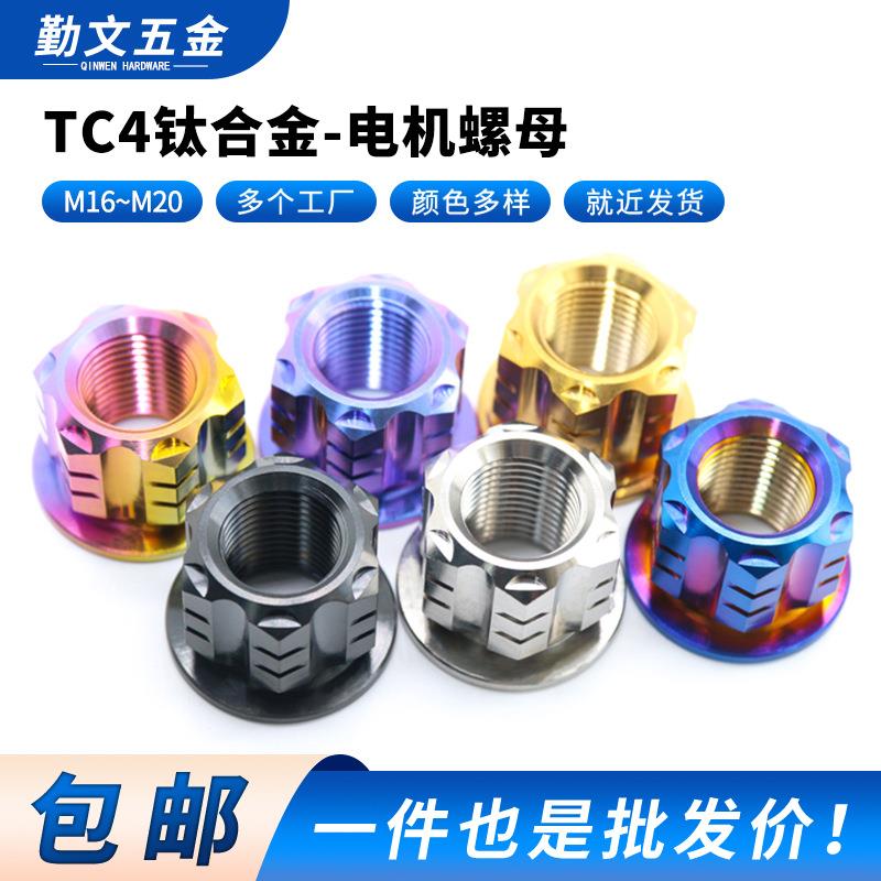 TC4钛合金电机螺母全顺M16M18M20改装适用九号NZmixE300小牛