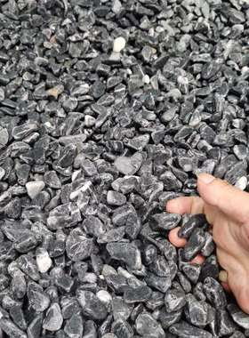 露营地碎石黑色砾石枯山水造景小院装饰花草搭配岩石深灰色灰