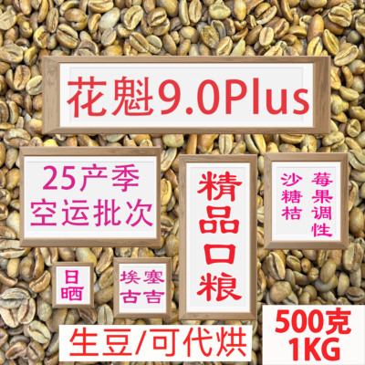 巨像花魁咖啡豆G125新产季