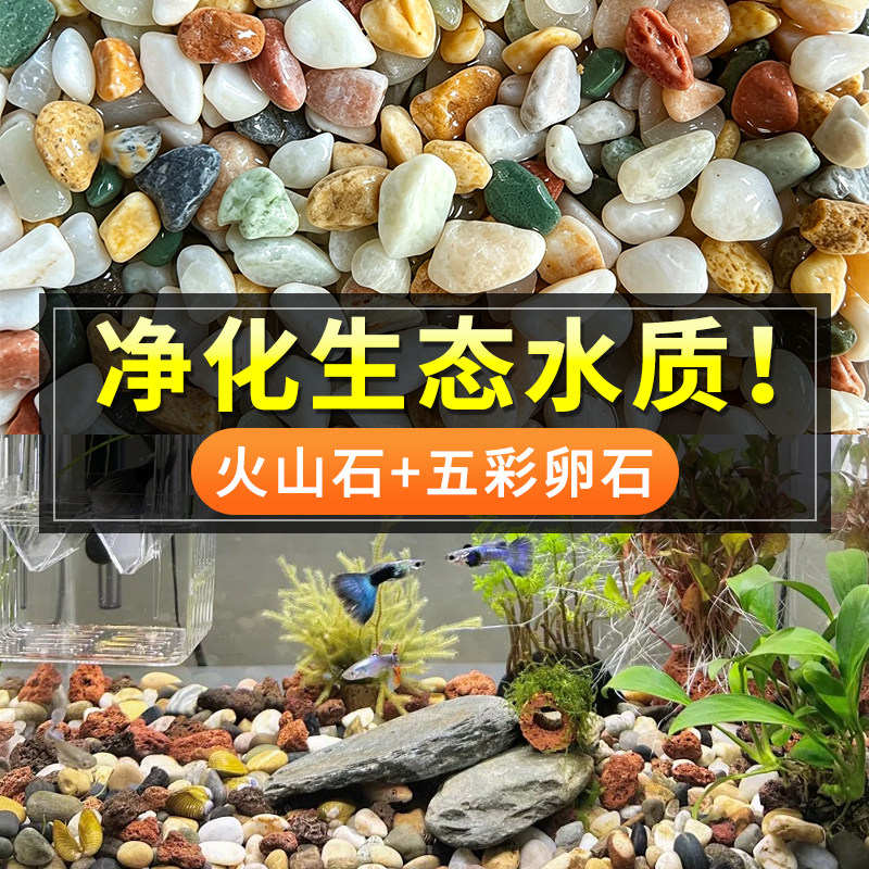 水洲纪火山石五花石鱼缸净水装饰图片