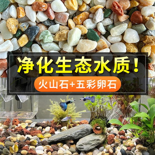 水洲纪火山石五花石鱼缸净水装饰