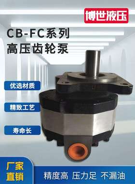 高压液压齿轮泵油泵CB-FC10/12/16/18/20/25/32/40/50