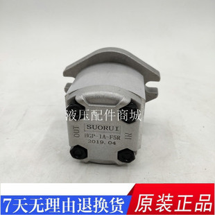 齿轮泵 F4R F6R F8R F3R F5R F2R HGP F1R