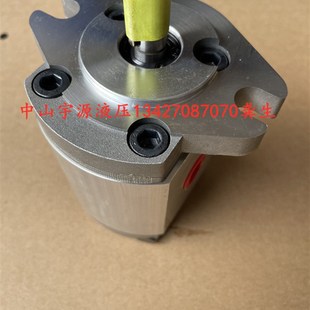 F2R 8R液压泵巨丰 HGP F8R高压齿轮油泵HGP F4R F3R