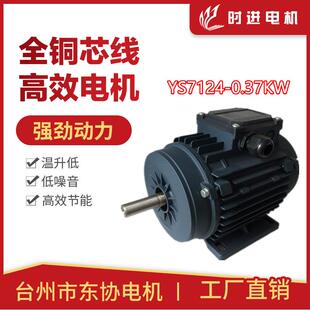 时进电机风机电机台州东协电机厂负压YS7124-0.37KW