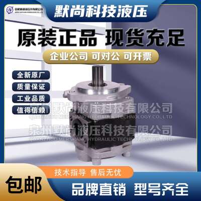 合肥赛源齿轮泵CBHZA-F23/F25/F28.2/F30/F32/F36/-F40-AFR 油泵