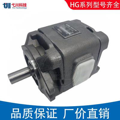海特克齿轮泵HG0/1/2-13/16/25/40/80-01R-VPC 替HYTEK内啮合油泵