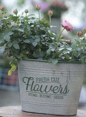 森得源灰根套创意花桶收纳花园绿球植物花园盆铁皮花盆桶盆种植