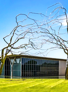 户外大型不锈钢树雕塑定制金属镂B空抽象摆件小区公园景观售楼处