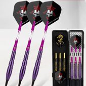 针专业电子软胶软靶镖飞健力王飞镖训练式 标软飞镖盘头专用比赛