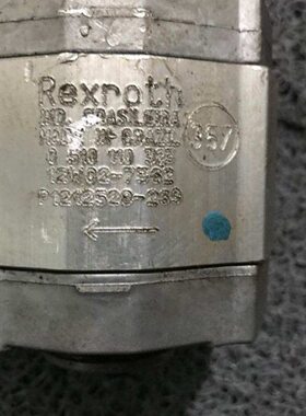 0AX单10动3X-PL原装320N0齿轮泵225MXB乐- 11力X力士2.0-元ZS
