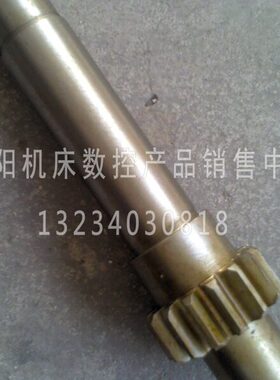 0齿轮 齿C0车床61  机床W61Z1C 花轴5 轴厂 沈阳10M3键W10配件 轴