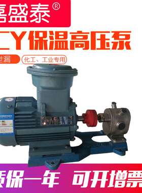 食品级齿轮泵 2CY-1.08/2.5型不锈钢保温齿轮泵  高压食品级泵