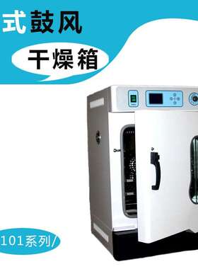 DHG9035AE 101-A0鼓风干燥箱实验室烘箱不锈钢内胆