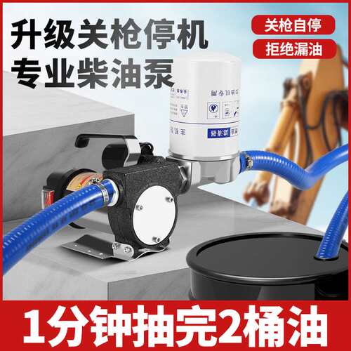 叶古电动抽油泵正反转12v24v220v柴油泵加油抽油机自吸泵加油