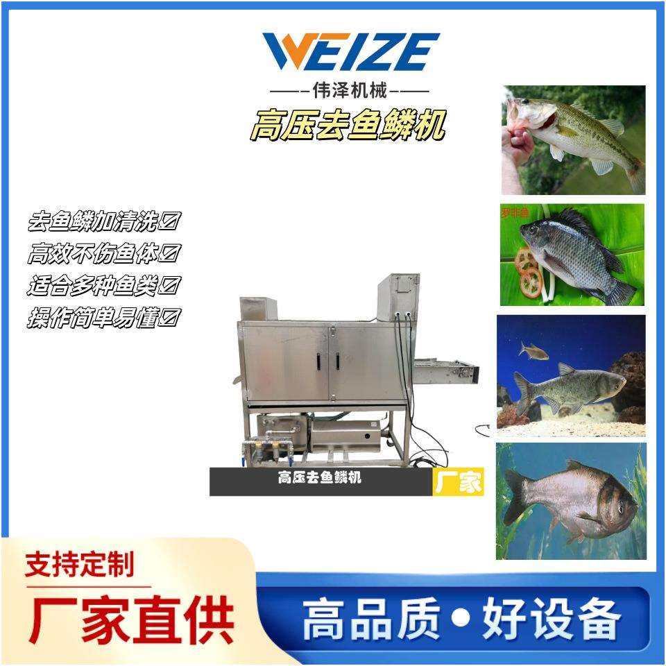 全自动杀鱼机多功能杀鱼去鳞开背开肚一体机不锈钢杀鱼机去鱼鳞机