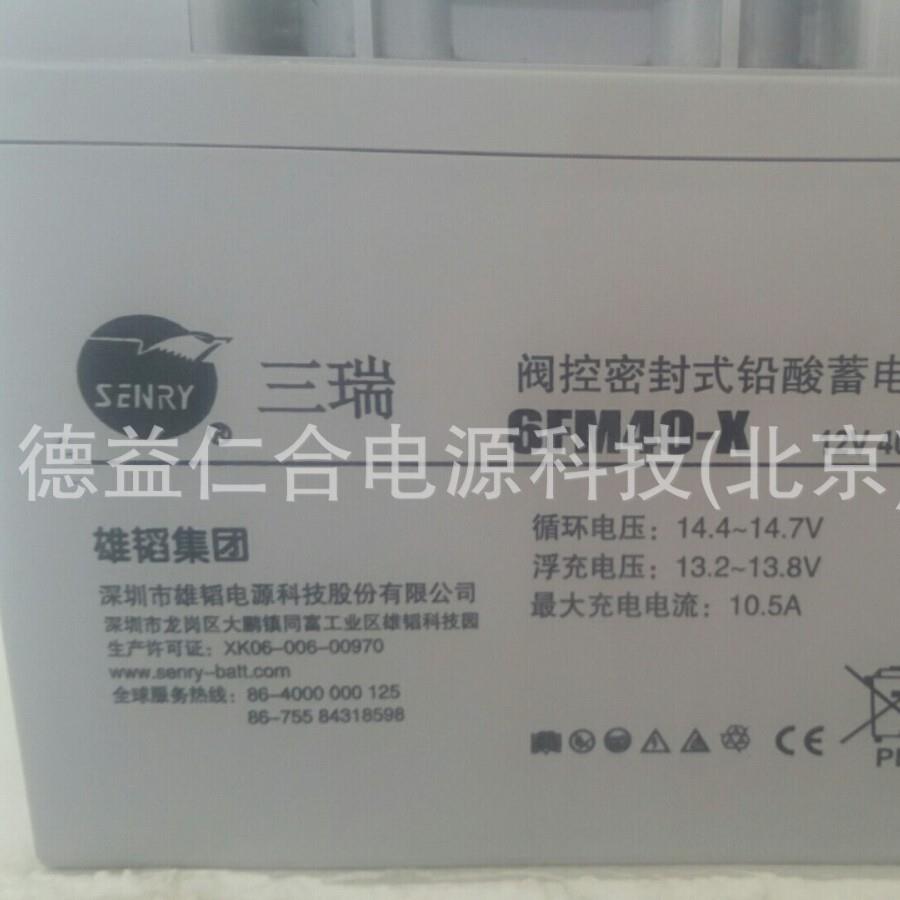 三瑞蓄电池 6FM40-X 铅酸免维护12V40AH电池