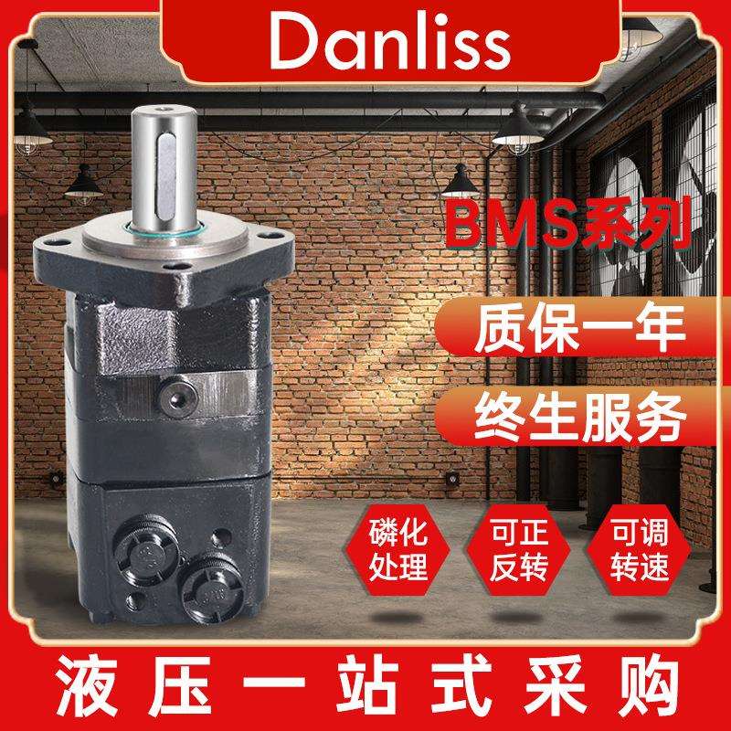 Danliss液压马达钻机探勘BMS80/100/125/160/250/315摆线液压马达