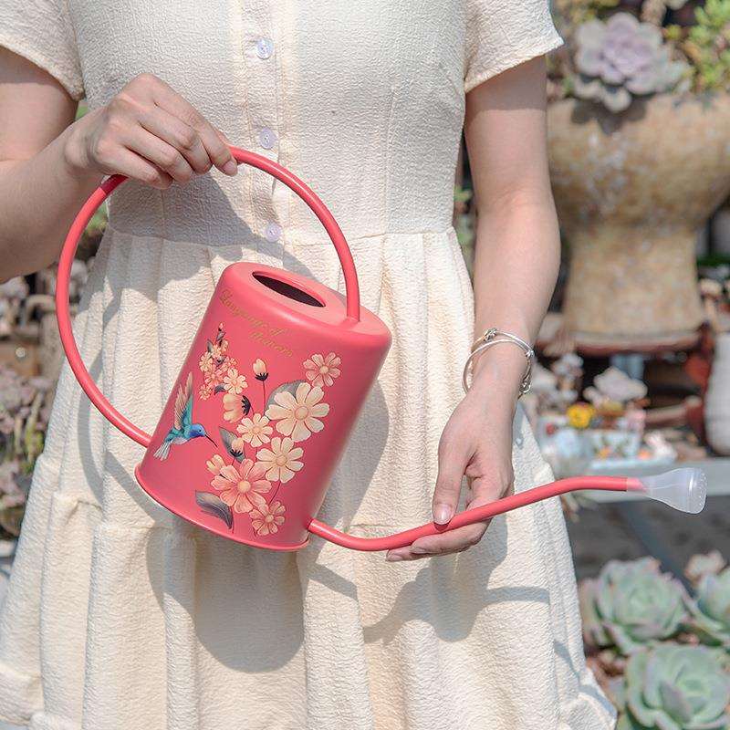淋花长嘴不锈钢植物喷壶园艺浇花壶水壶家用洒浇花水壶浇水壶