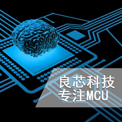 NCE0117/0224/0240/3050/4080/6050A/6075/8295A TO-220 场效应管