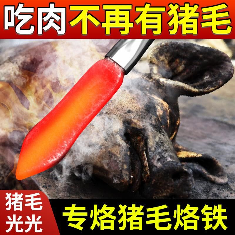 烙猪皮烙猪毛电烙铁大功率家用小型除去毛烫猪蹄烙肉器烧猪皮工具