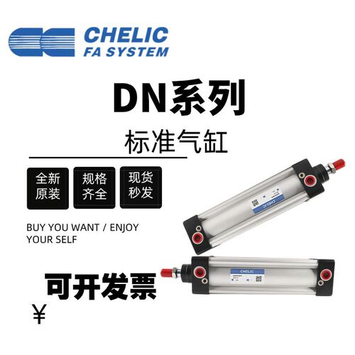 气立可标准气缸DN32/40/50/63/80/100*25*50*75*100*200*60*300
