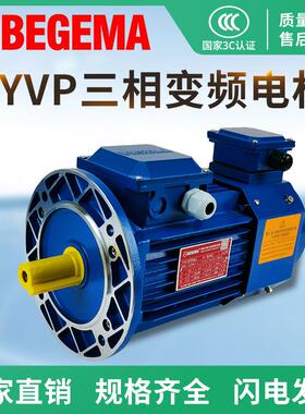 电机马达BYVP750W4P380V立式三相变频现货