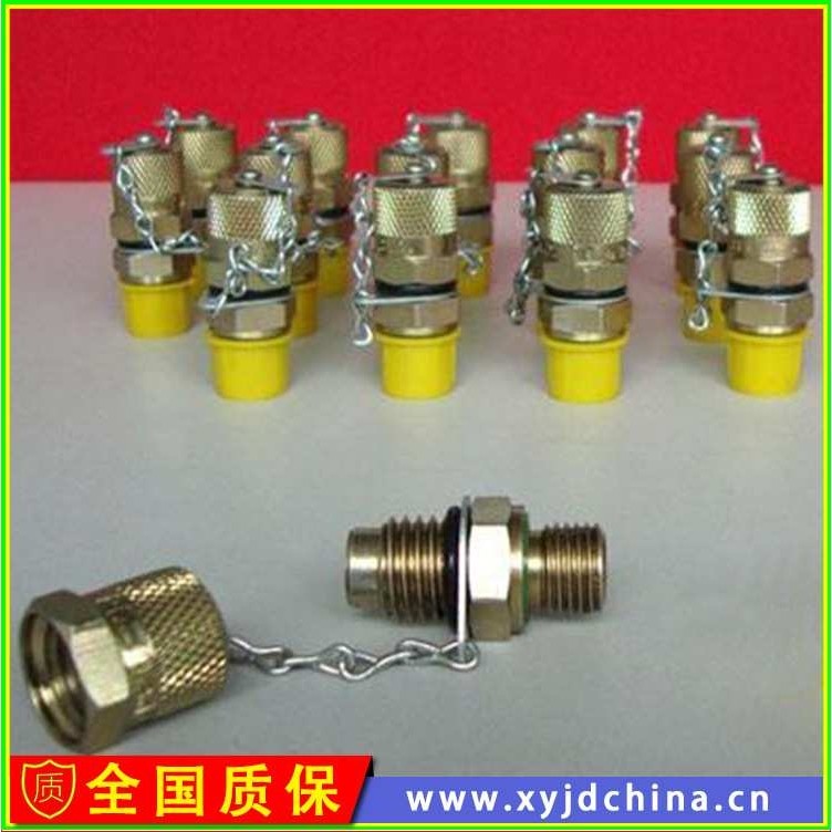 测压快速接头63MPA内外螺纹连接 高压测压接头厂家,农机/农具/农膜,其它农用工具,淘宝优惠券,粉丝福利购,淘宝优惠卷