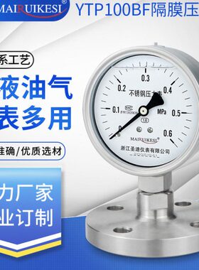Y 25010不锈钢片NM压力表耐震 法兰F BF压力表40TP膜/DN50ND膜D隔