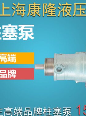 上海/1014-03云C1016/轩/250408销Y/轴向柱塞泵250//011632//Y6B/