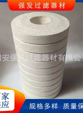 BG15/25油滤芯PA5601364滤油机滤芯PA5601340风电齿轮箱滤芯