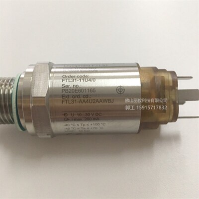 E+H音叉液位开关 FTL31-AA4U2AAWBJ,FTL31-11U4/0 FTL260 FTL20