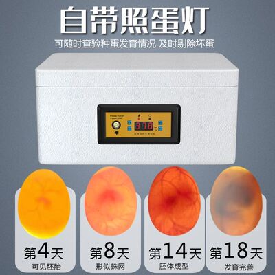 孵小鸡恒温箱孵化器小型家用全自动智能芦丁鸡蛋玄凤受精蛋鹦鹉鸽