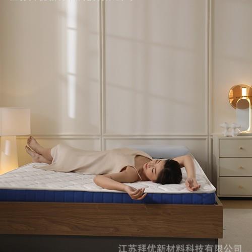 学生宿舍薄垫T2蓝盒子记忆棉床垫租房家用单人床褥海绵软垫子床铺