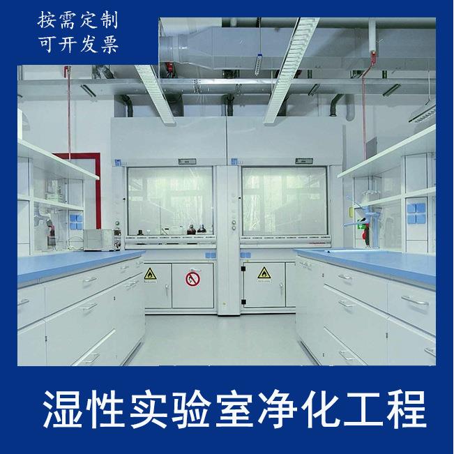 食品无菌净化车间工程 东莞无尘车间工程施工 洁净实验室厂房装修