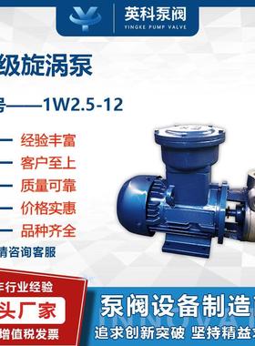 漩涡泵W型不锈钢304高压3KW离心耐腐蚀防爆1W-2.5-12单级悬臂式旋