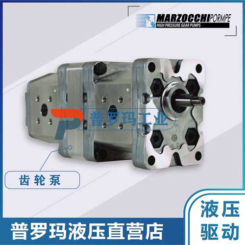 马祖奇MARZOCCHI液压齿轮泵ALM2BK4-R-6/9/10/12/13/16/20-E1油泵