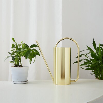 不锈钢洒水壶金色圆柱绿植多肉浇花水壶长嘴家用网红喷壶1.5升