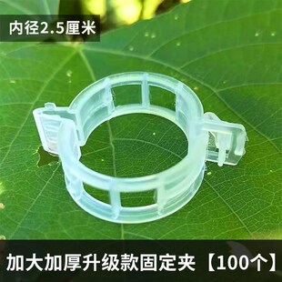 植物瓜果植物夹塑料绑蔓夹绑枝夹吊蔓夹扶蔓夹西红柿夹藤蔓固定夹