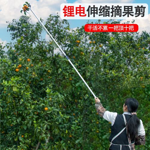 电动摘枇杷神器可伸缩高空摘荔枝龙眼剪刀水果采摘器果树修枝剪刀