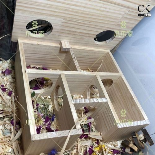 仓鼠躲避屋可掀盖仓鼠木屋多居室躲避屋隧道玩具实木侏儒窝迷宫
