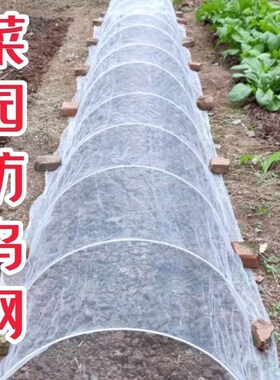 菜园防乌网种菜专用瓜果防虫白色网尼龙纱网阳台鱼塘果树大棚农用