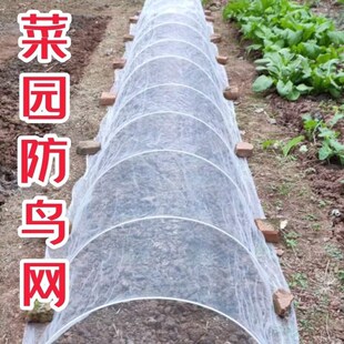 菜园防乌网种菜专用瓜果防虫白色网尼龙纱网阳台鱼塘果树大棚农用