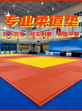 柔道垫专业比赛训练柔术榻榻米柔道馆专用垫摔跤格斗MMA柔道垫子