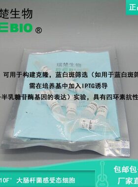 包邮包细含大F' 票PTO 干冰肠10菌感受态杆胞