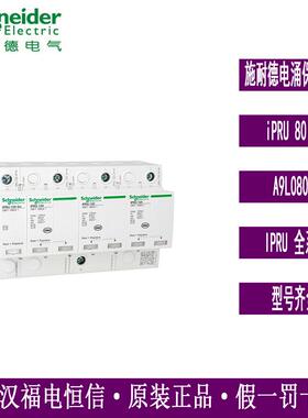万高WINGOAL iPRU系列浪涌保护器iPRU 80 4P A9L080400电涌防雷器